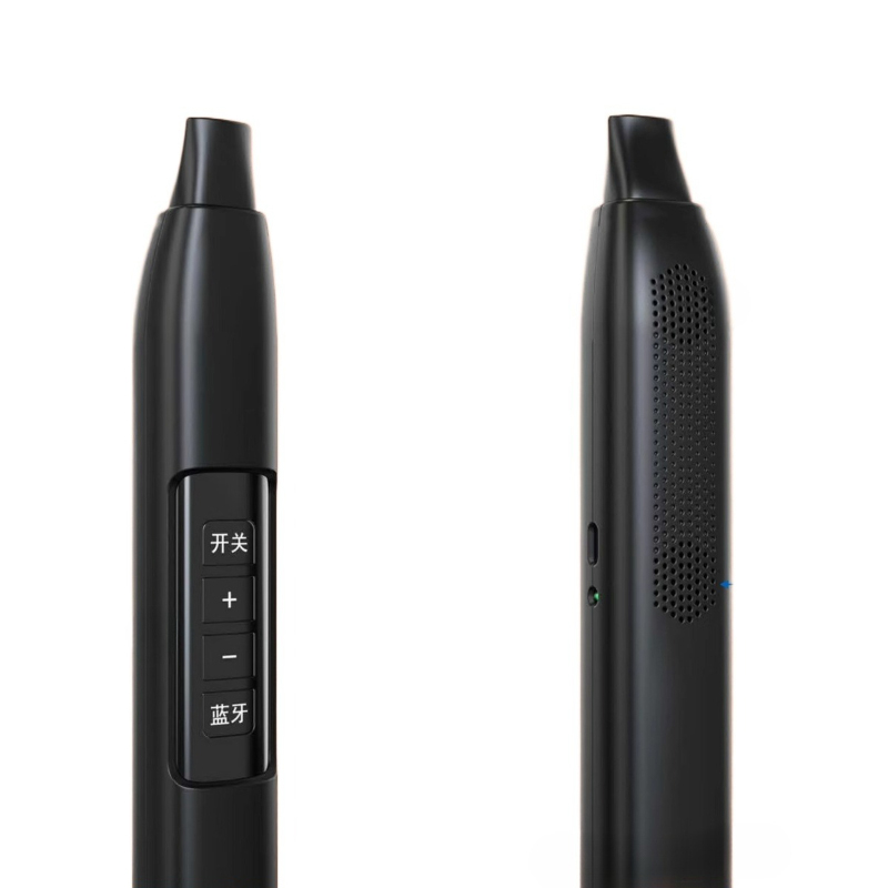 Portable Electronic Wind Instr - Bluetooth Speaker 评论和价格